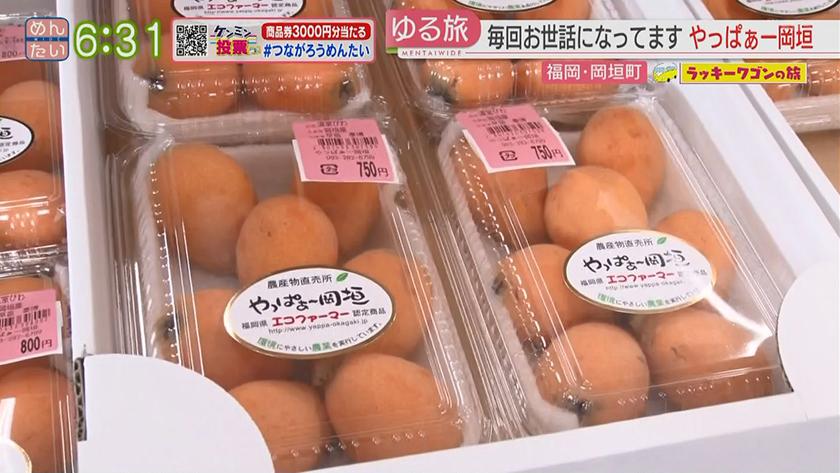 ラッキーワゴンの旅|岡垣町後編 ラッキーワゴンの旅|岡垣町後編