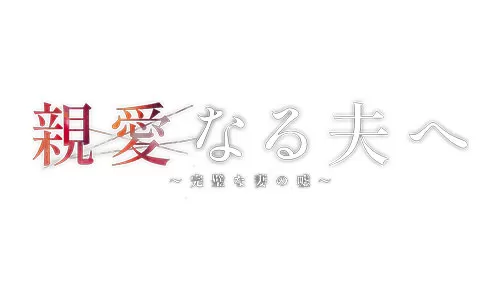 親愛なる夫へ~完璧な妻の嘘~ 親愛なる夫へ~完璧な妻の嘘~
